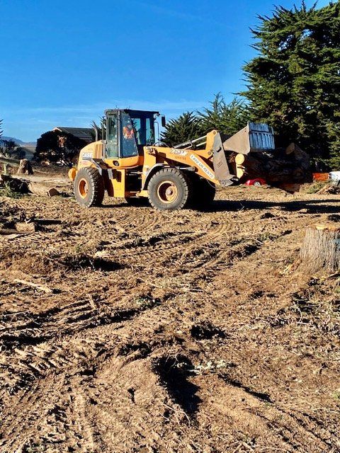 Yellow loader on a construction site clearing wood, under a blue sky.