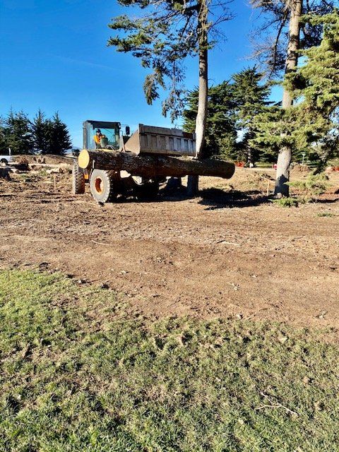 A tractor transports a large log across a dirt field on a sunny day.