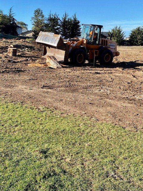 A Case wheel loader on a dirt lot, scraping up soil, under a blue sky.