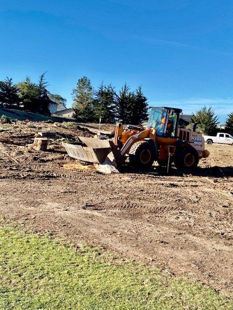 A front-end loader on a cleared lot next to a house under a clear, blue sky.