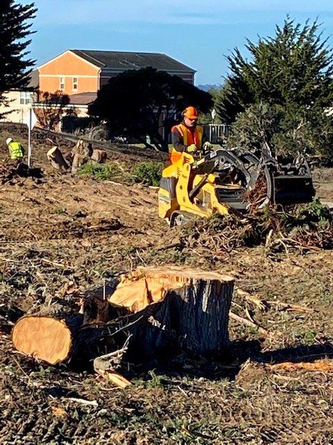 Workers clearing trees with machinery in an open field, residential buildings in the background.
