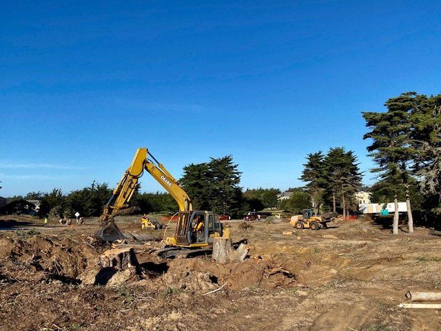 Yellow excavator digging in a field with trees under a blue sky.