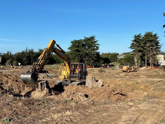 Yellow excavator removing tree stumps from a dirt field under a blue sky.