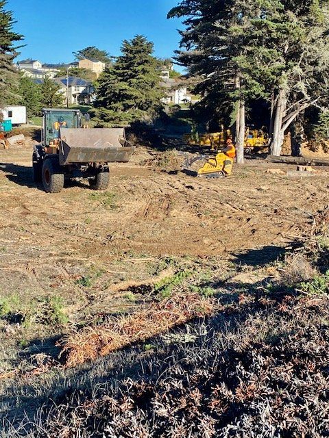Construction site: tractor and bulldozer clearing land with debris; trees and houses in the background.