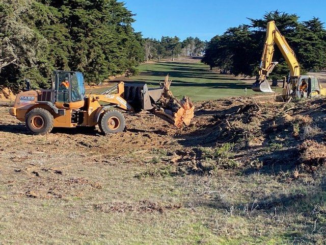 Heavy machinery removing tree stumps on a golf course under a clear, sunny sky.