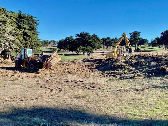 Construction machinery removing trees and clearing land on a golf course under a clear blue sky.