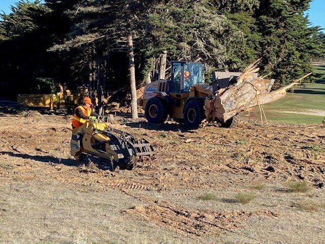 A large tree being removed by construction equipment. A worker in an orange vest watches.