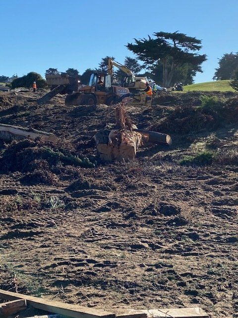 Construction site with excavators removing dirt, clearing land on a hillside under a blue sky.