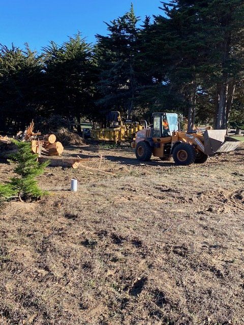 Yellow construction loader clearing debris on a brown field near trees.