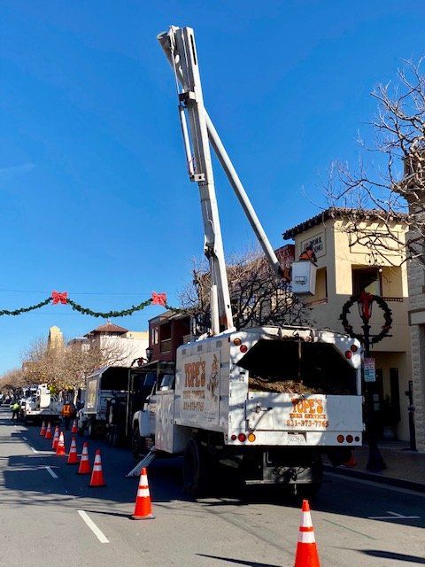 Bucket trucks lined up on a street with orange cones, working on lights, decorated for the holidays.