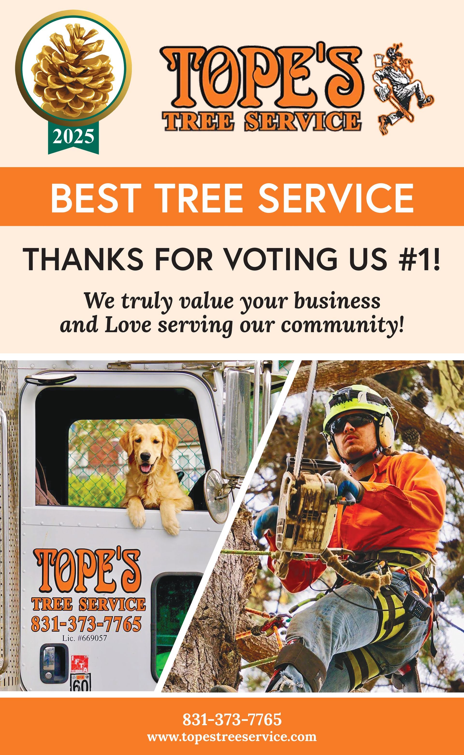 Best Landscaper-Gardening Service 2024