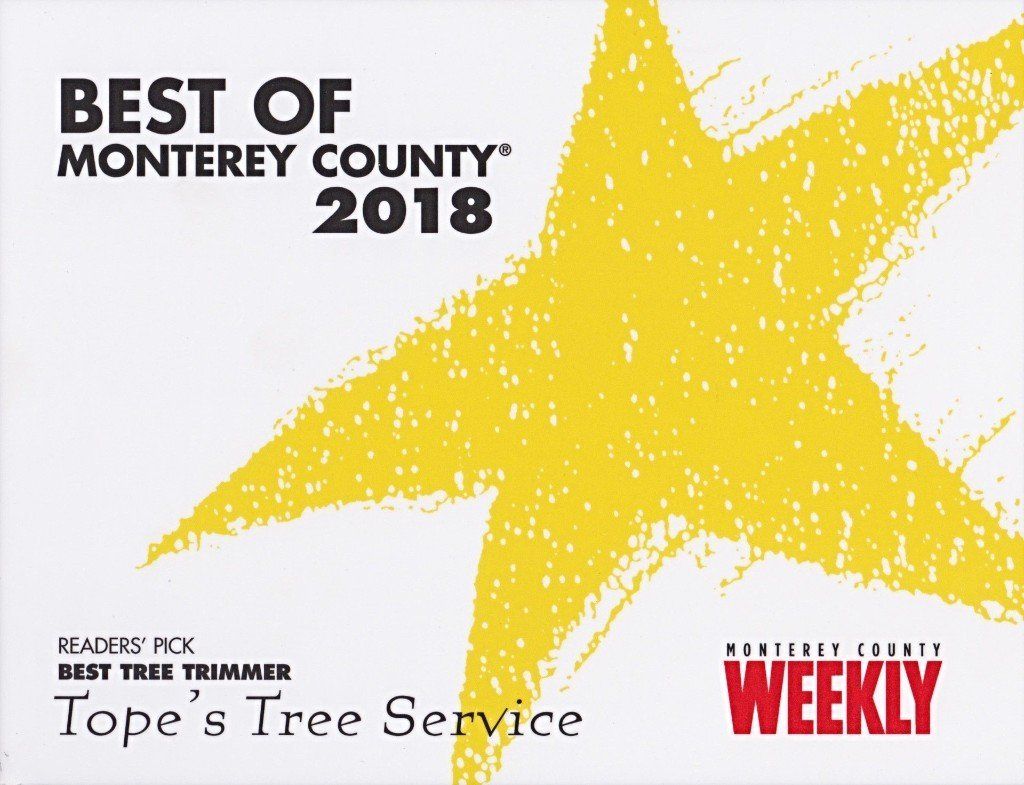 Best of Monterey County 2018 — Monterey, CA — Tope’s Tree Service