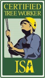 Certified Tree Worker logo, a person in a yellow hard hat looking up, holding ropes, green background.