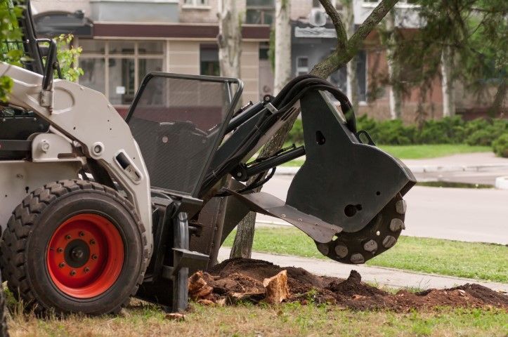 Bobcat stump grinder removing tree stump in a yard.