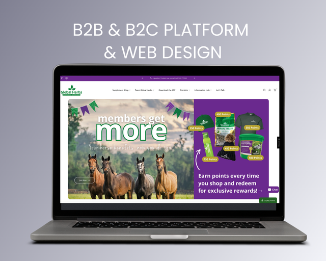 Laptop displaying a colorful website mockup for a B2B and B2C platform with web design text