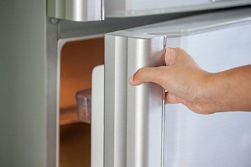 The Comprehensive Guide to Mold in Your Refrigerator