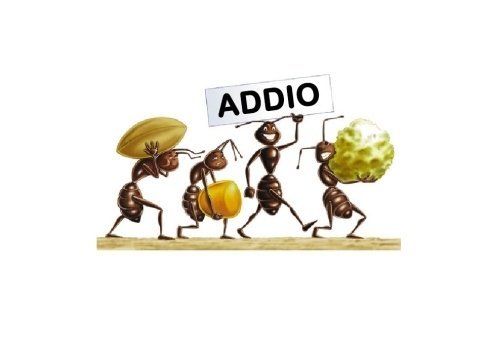 rappresentazione grafica di disinfestazione formiche