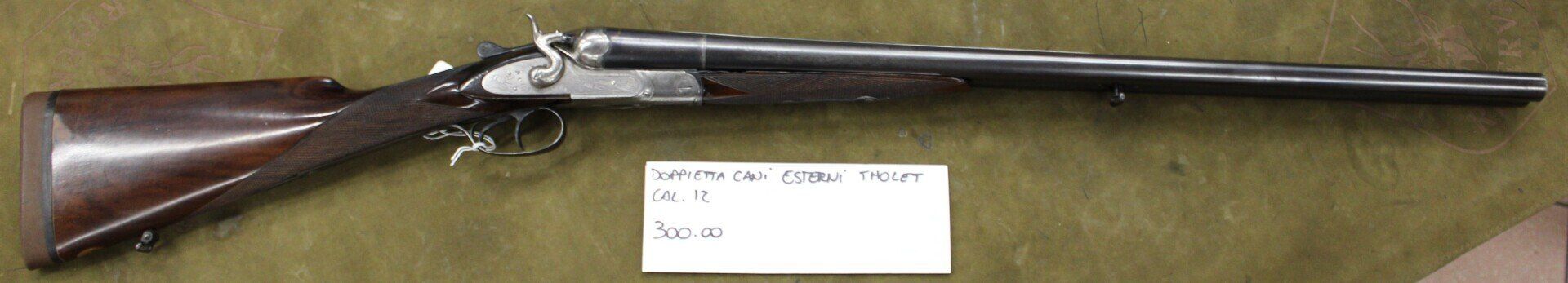 DOPPIETTA CANI ESTERNI THOLET a 300.00€
