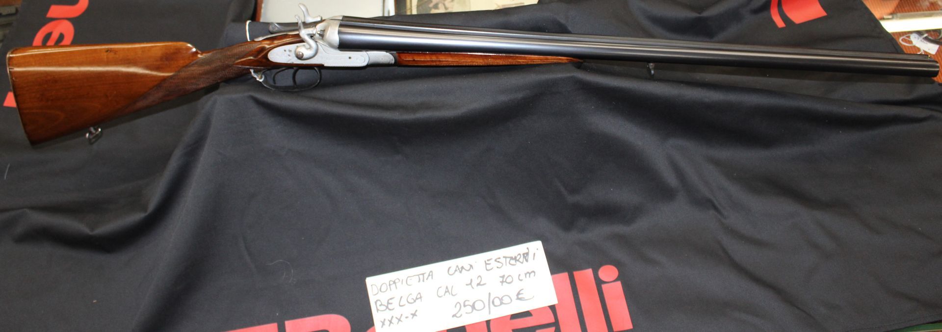 DOPPIETTA CANI ESTERNI a 250,00€