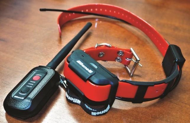 Offerta imperdibile, connettore e collare satellitare Caddy a 400,00€
Ogni collare o connettore aggiuntivo a 200,00€ il pezzo!
