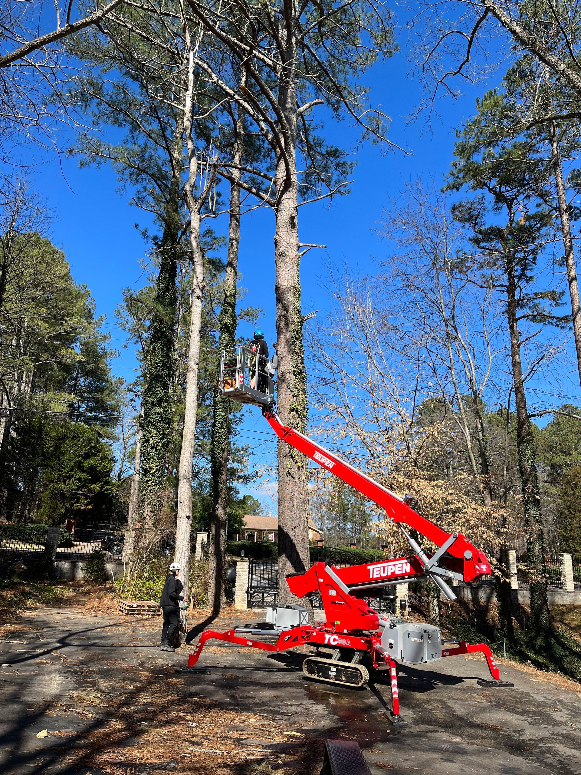 A man is cutting a tree with a crane.