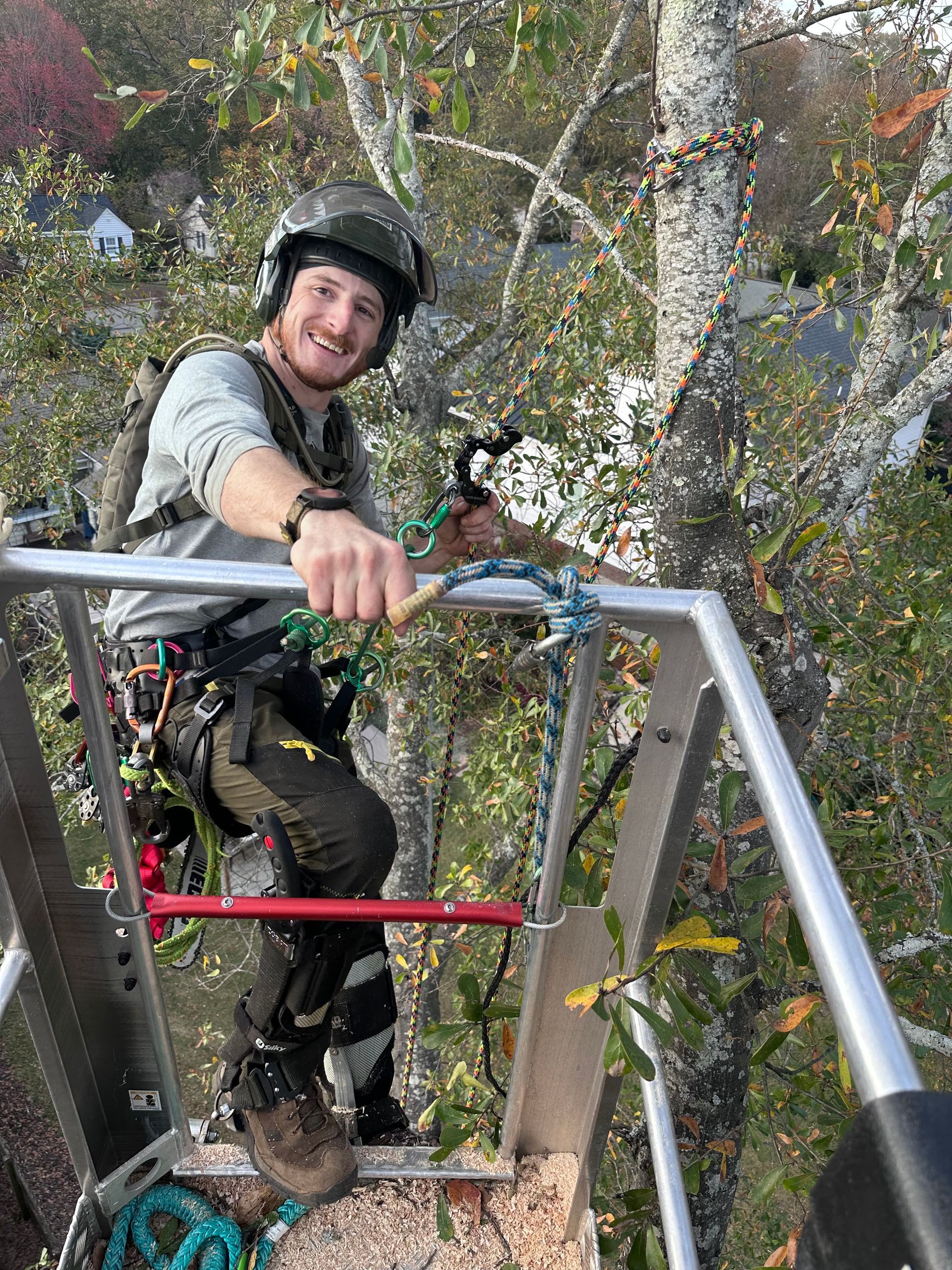 A man is sitting on top of a ladder in a tree.