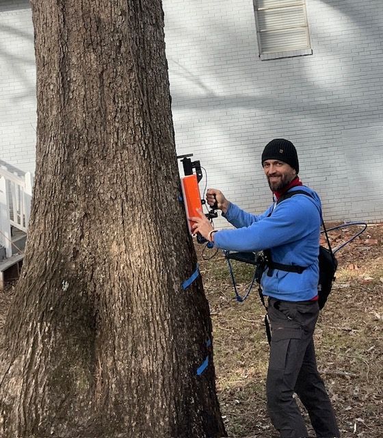 The Picture Of The Actual Tree Being Scan By A Professional Tree Scanner