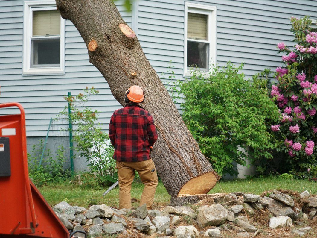 A crew removing tree in residential area