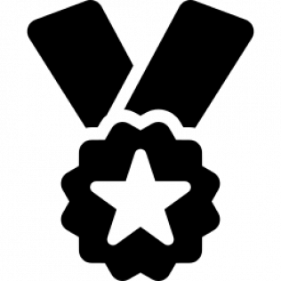 Medal Icon