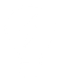 Bulb icon