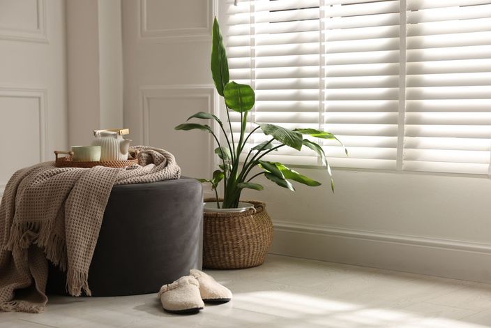 Cozy living room corner with a round ottoman, blanket, tray, houseplant, and slippers by a window