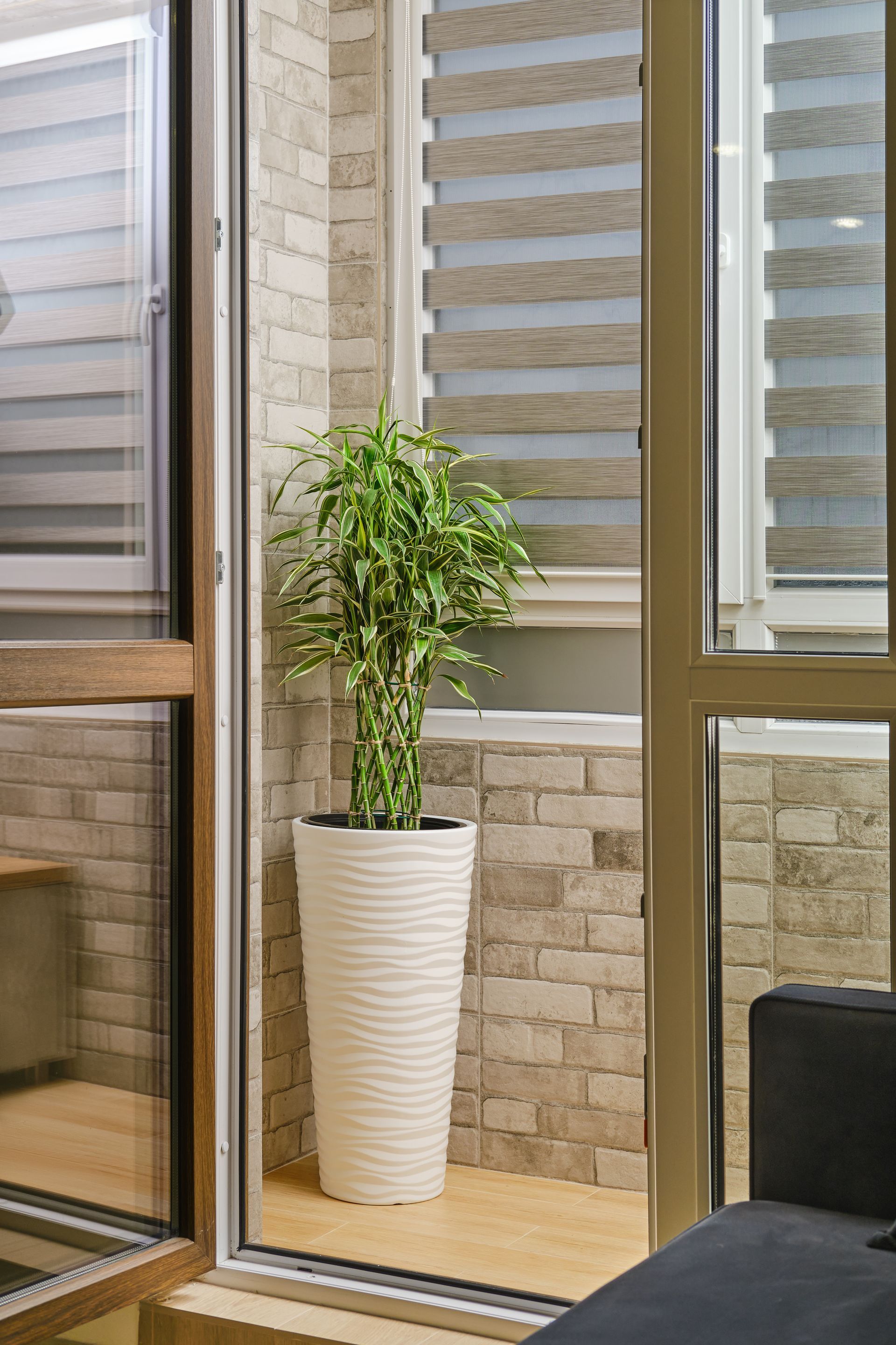 Tall green plant in a white textured pot by a window in a bright indoor corner