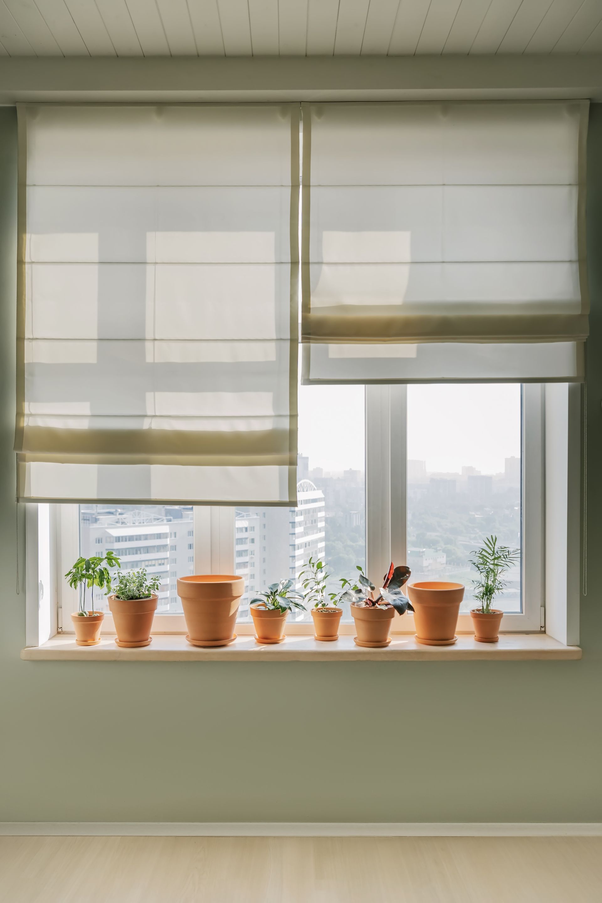 Window with sheer blinds and several small potted plants on the sill, in a softly lit room Window with sheer blinds and several small potted plants on the sill, in a softly lit room