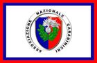 Bandiera dell'Associazione Nazionale Carabinieri, bianca con bordi blu e rossi e stemma centrale.