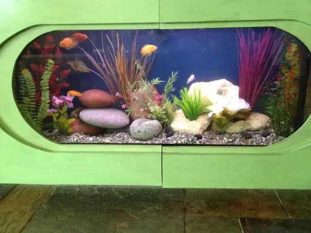 A green aquarium filled with fish and plants