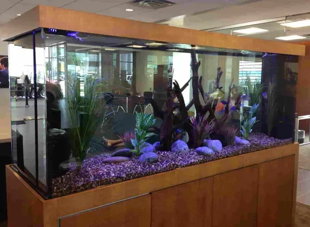 A large aquarium filled with fish and plants in a room.