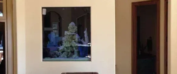 A large aquarium is hanging on a wall in a living room.