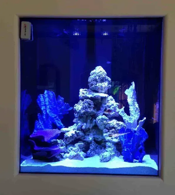 An aquarium with a lot of rocks and corals in it
