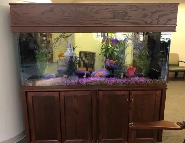 A large fish tank is sitting on top of a cabinet.