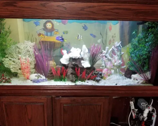 A large fish tank filled with fish and corals is sitting on top of a wooden cabinet.