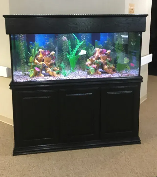 A large aquarium filled with lots of fish and plants