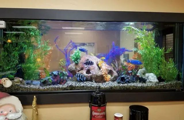 A large fish tank is hanging on a wall.