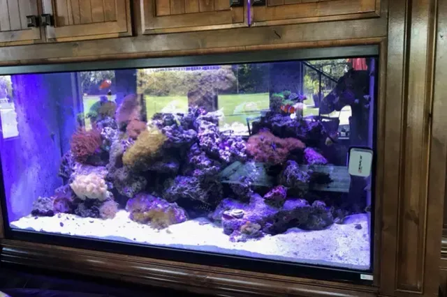 A large aquarium is sitting on top of a wooden cabinet.