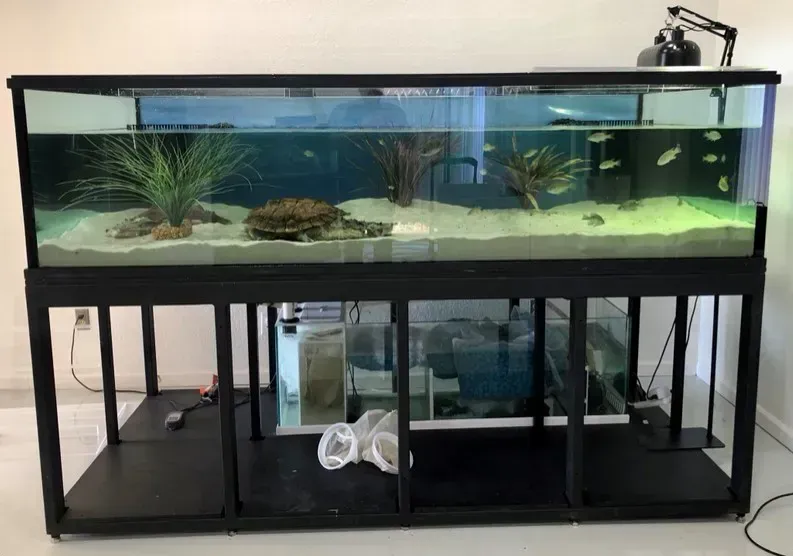 A large fish tank is sitting on a table in a room.