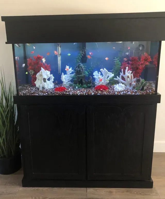 A large fish tank filled with fish and corals in a living room.