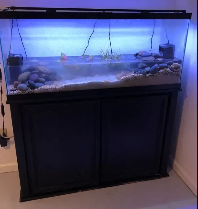 A large fish tank sitting on top of a black cabinet