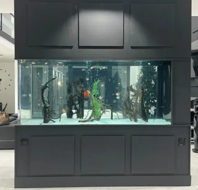 A large aquarium filled with fish and plants in a living room.