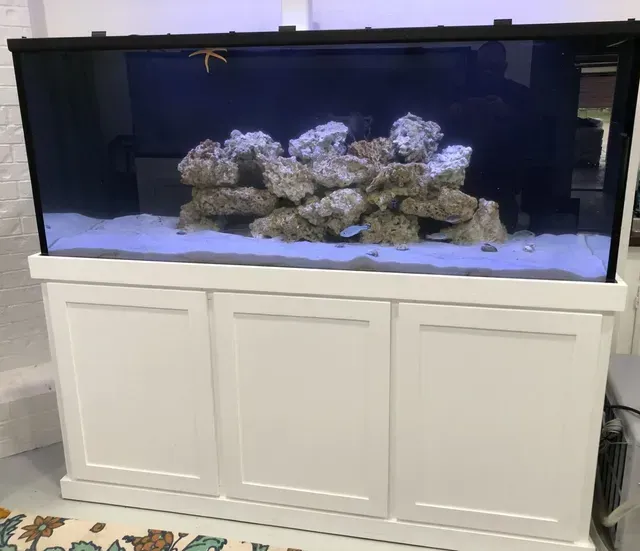 A large aquarium is sitting on top of a white cabinet.