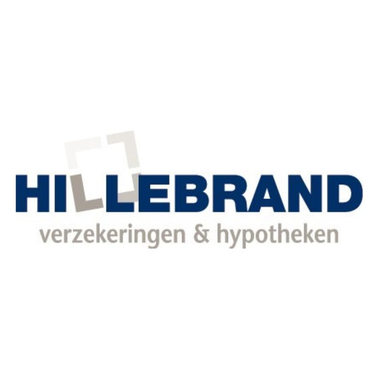 Logo for Hillebrand Verzekeringen & Hypotheken and den Hartog Financiële Dienstverlening.