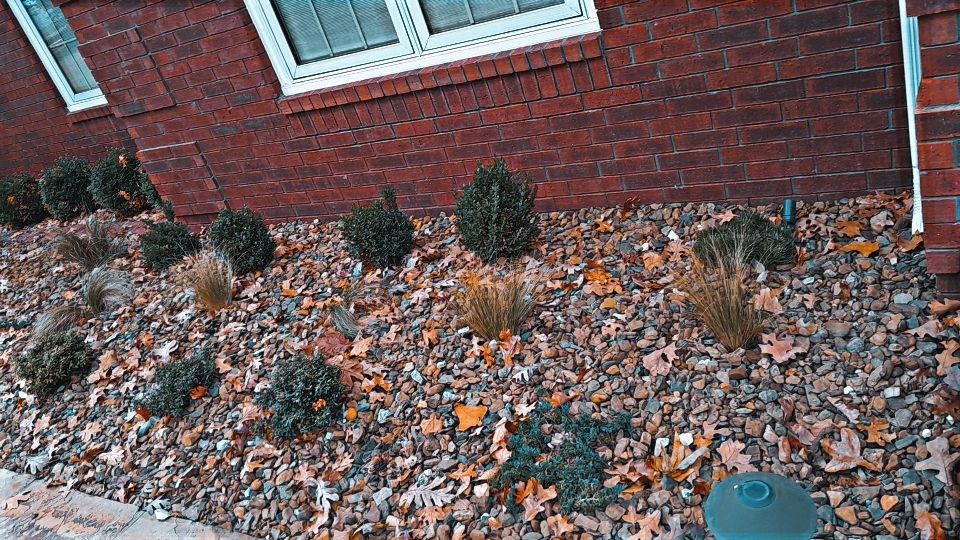 Brick building with a window above a flower bed with shrubs and fallen leaves.